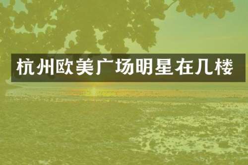 杭州欧美广场明星在几楼