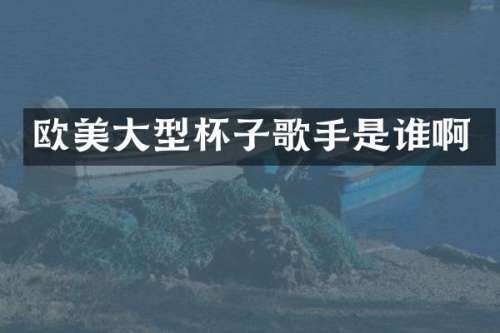 欧美大型杯子歌手是谁啊