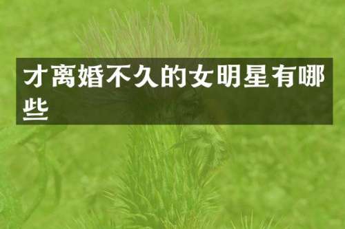才离婚不久的女明星有哪些