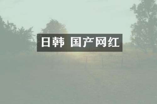 日韩 国产网红