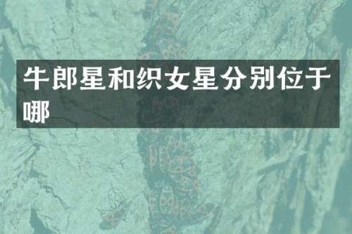 牛郎星和织女星分别位于哪