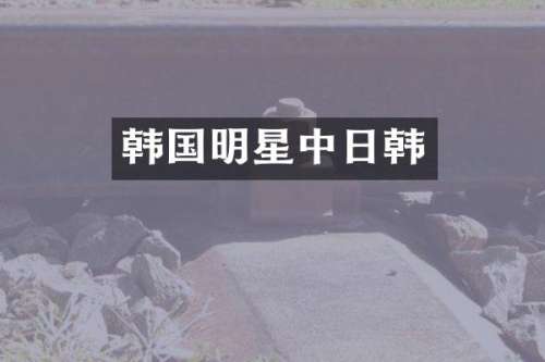 韩国明星中日韩