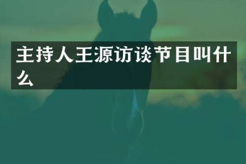 主持人王源访谈节目叫什么