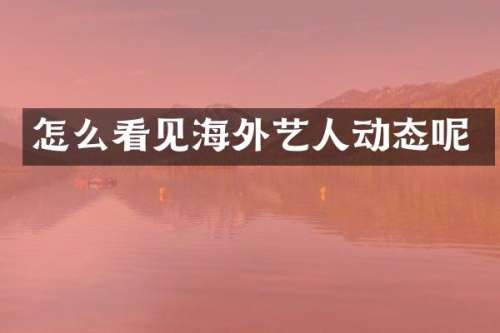 怎么看见海外艺人动态呢