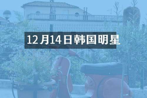 12月14日韩国明星