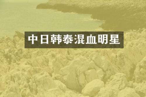 中日韩泰混血明星