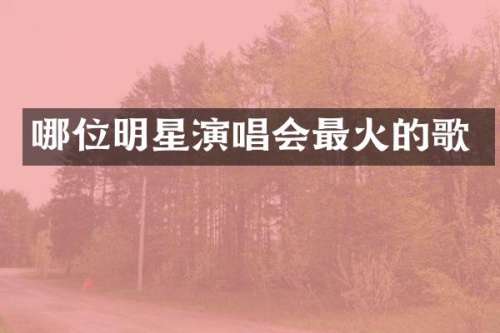 哪位明星演唱会最火的歌