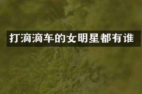 打滴滴车的女明星都有谁