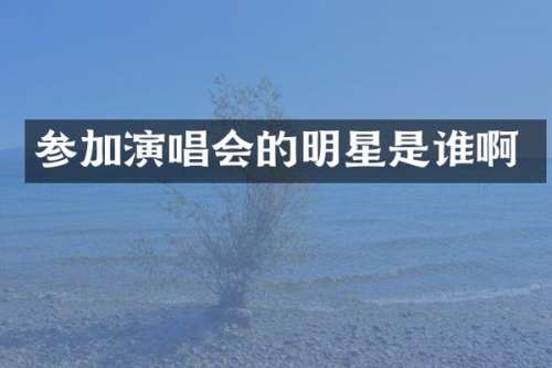 参加演唱会的明星是谁啊