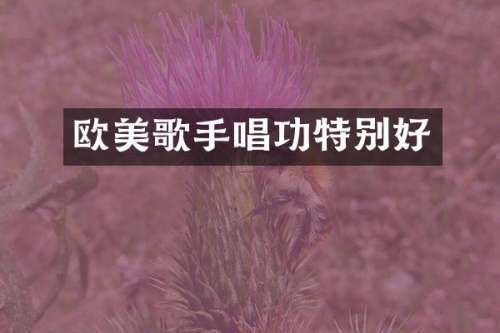 欧美歌手唱功特别好