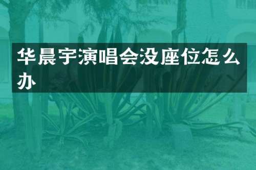 华晨宇演唱会没座位怎么办