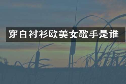 穿白衬衫欧歌手是谁