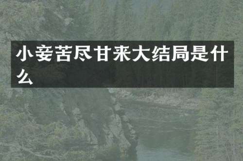 小妾苦尽甘来大结局是什么