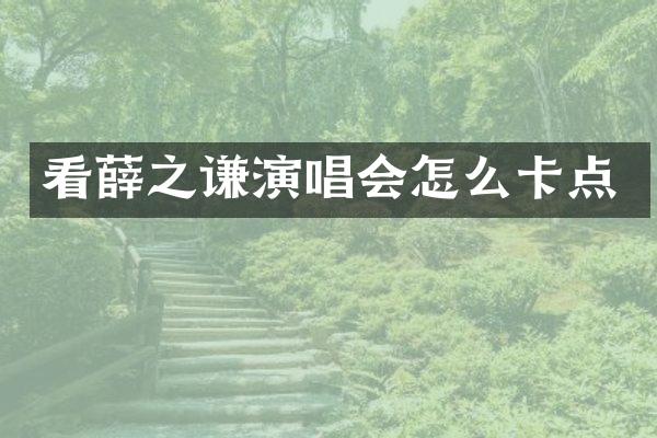 看薛之谦演唱会怎么卡点