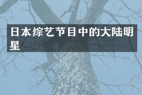 日本综艺节目中的大陆明星