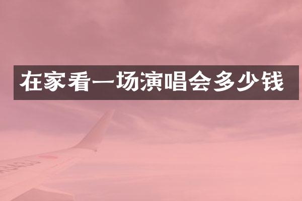 在家看一场演唱会多少钱