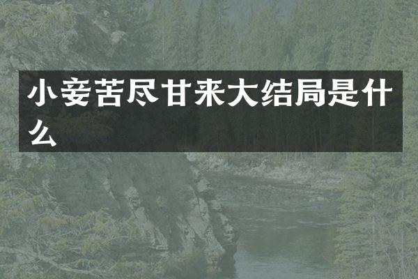 小妾苦尽甘来大结局是什么
