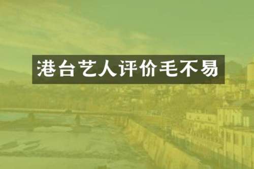 港台艺人评价毛不易