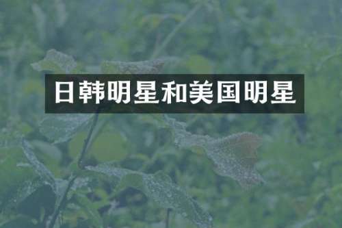 日韩明星和美国明星
