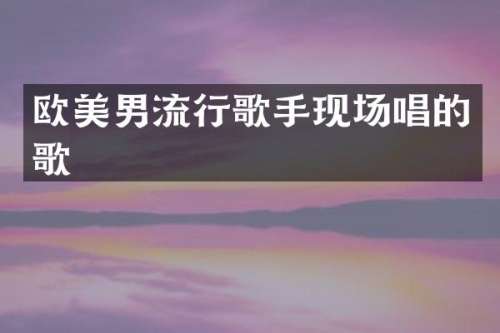 欧美男流行歌手现场唱的歌