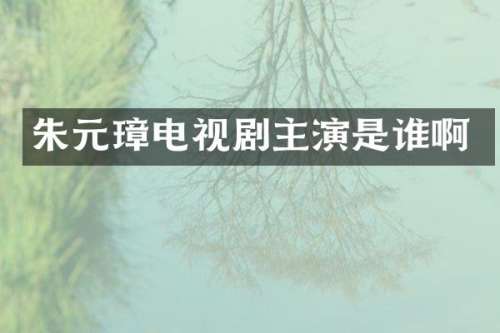 朱元璋电视剧主演是谁啊