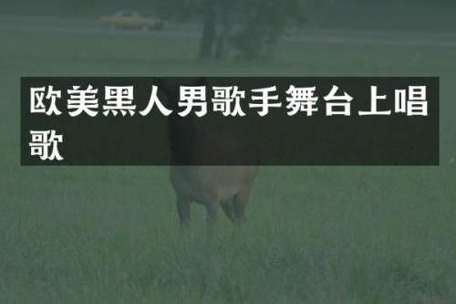 欧美黑人男歌手舞台上唱歌