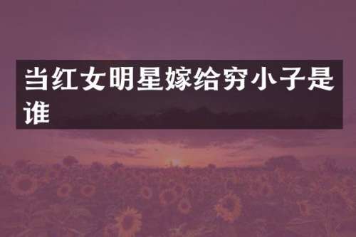 当红女明星嫁给穷小子是谁