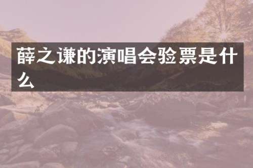 薛之谦的演唱会验票是什么