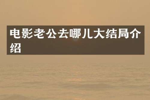 电影老公去哪儿大结局介绍