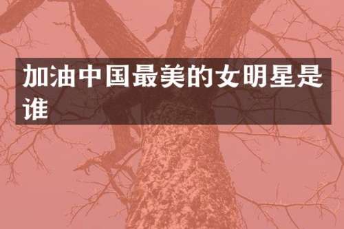 加油中国最美的女明星是谁