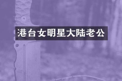 港台女明星大陆老公