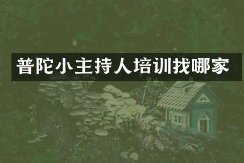 普陀小主持人培训找哪家