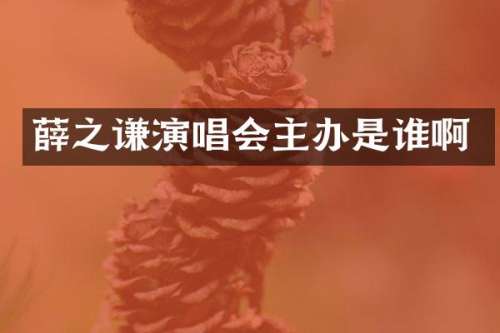 薛之谦演唱会主办是谁啊