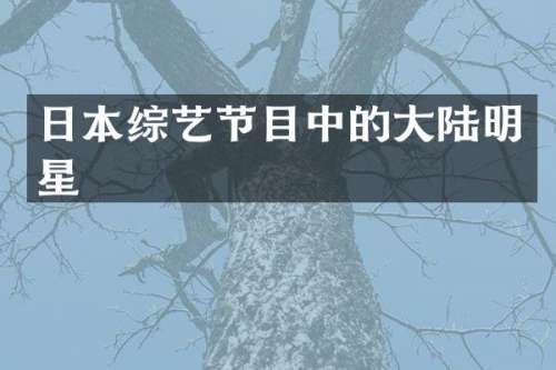 日本综艺节目中的大陆明星