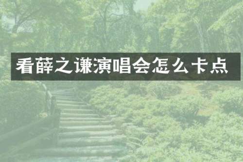 看薛之谦演唱会怎么卡点
