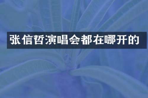 张信哲演唱会都在哪开的