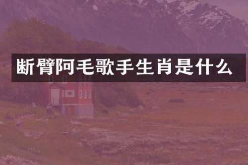 断臂阿毛歌手生肖是什么