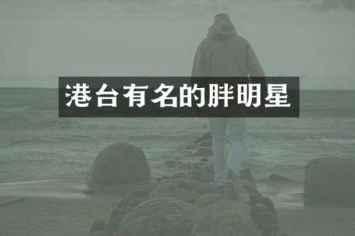 港台有名的胖明星