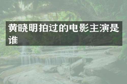 黄晓明拍过的电影主演是谁