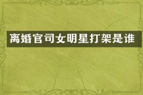 离婚官司女明星打架是谁