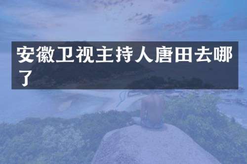 安徽卫视主持人唐田去哪了