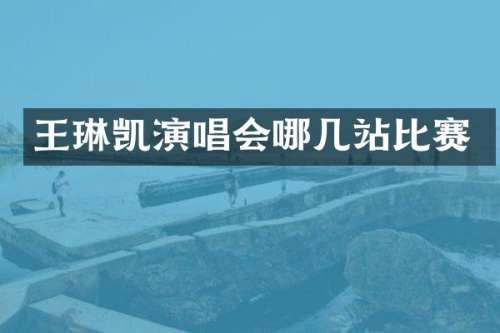 王琳凯演唱会哪几站比赛