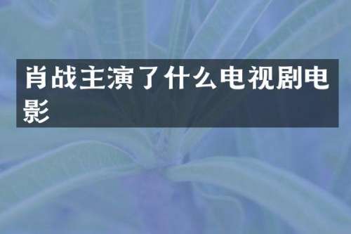 肖战主演了什么电视剧电影