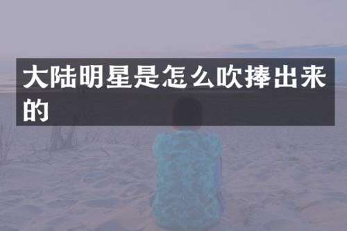 大陆明星是怎么吹捧出来的