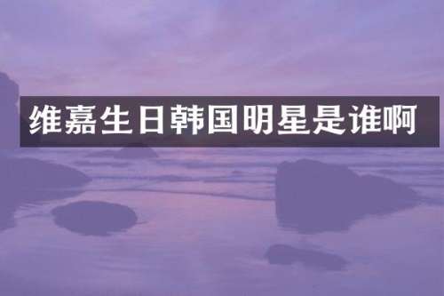 维嘉生日韩国明星是谁啊