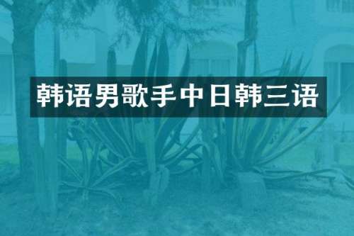 韩语男歌手中日韩三语
