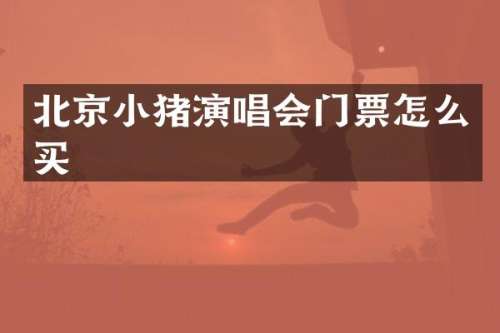 北京小猪演唱会门票怎么买