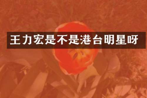 王力宏是不是港台明星呀