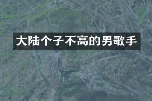 大陆个子不高的男歌手
