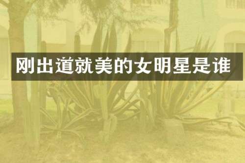 刚出道就美的女明星是谁